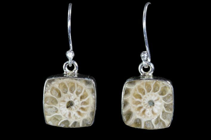 Fossil Ammonite Earrings - Sterling Silver #81624